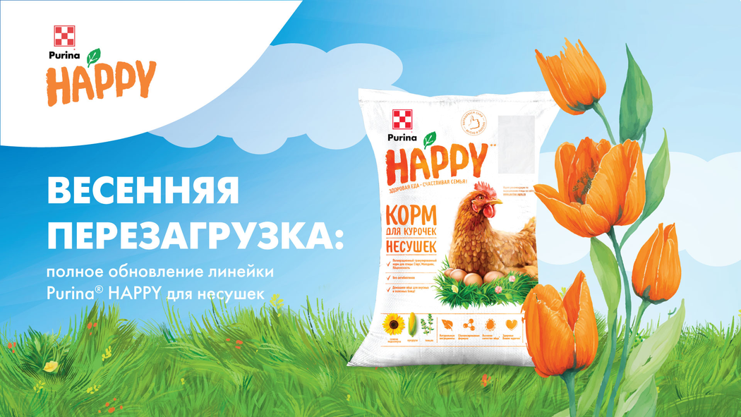 Весенняя перезагрузка: полное обновление линейки Purina® HAPPY для несушек
